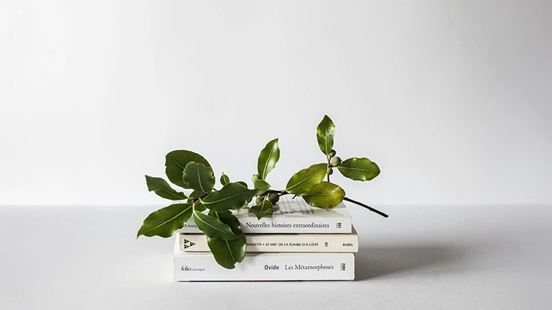 Cine lasă urme digitale? Filigranarea AI în ChatGPT și Gemini